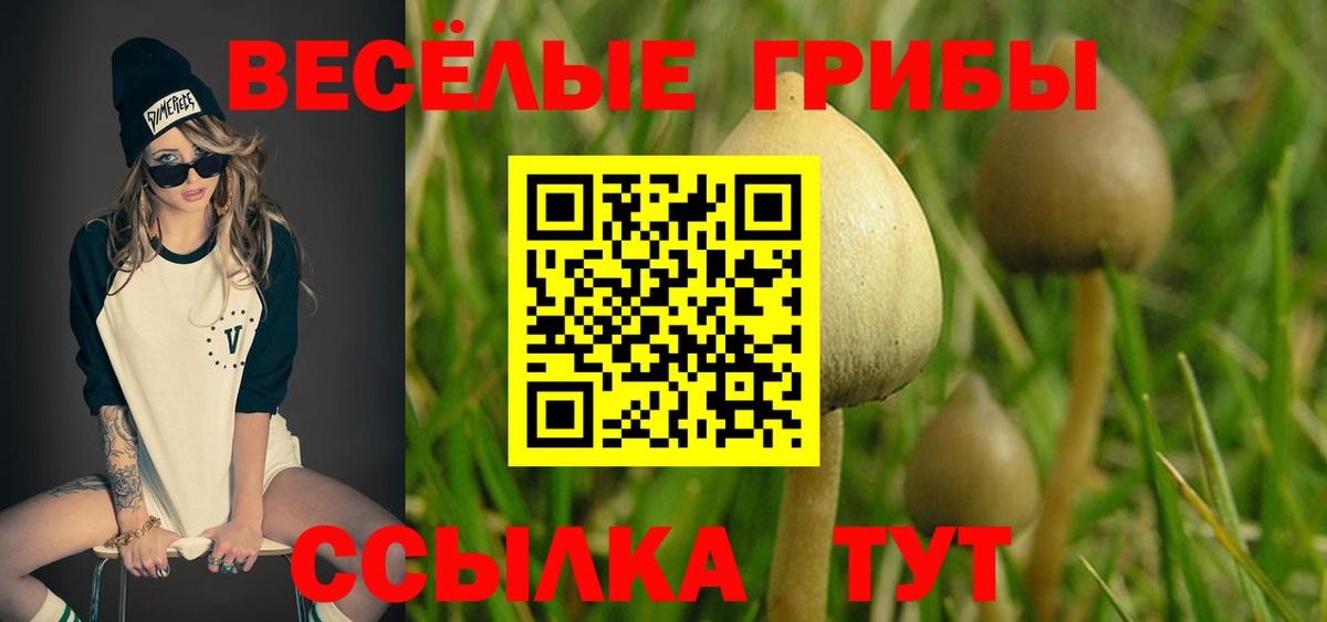Марихуана  Экстази  МЕФ кристаллы  Cocaine  ГАШ  Ртищево  Вход с VPN 